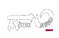 Městské divadlo Brno